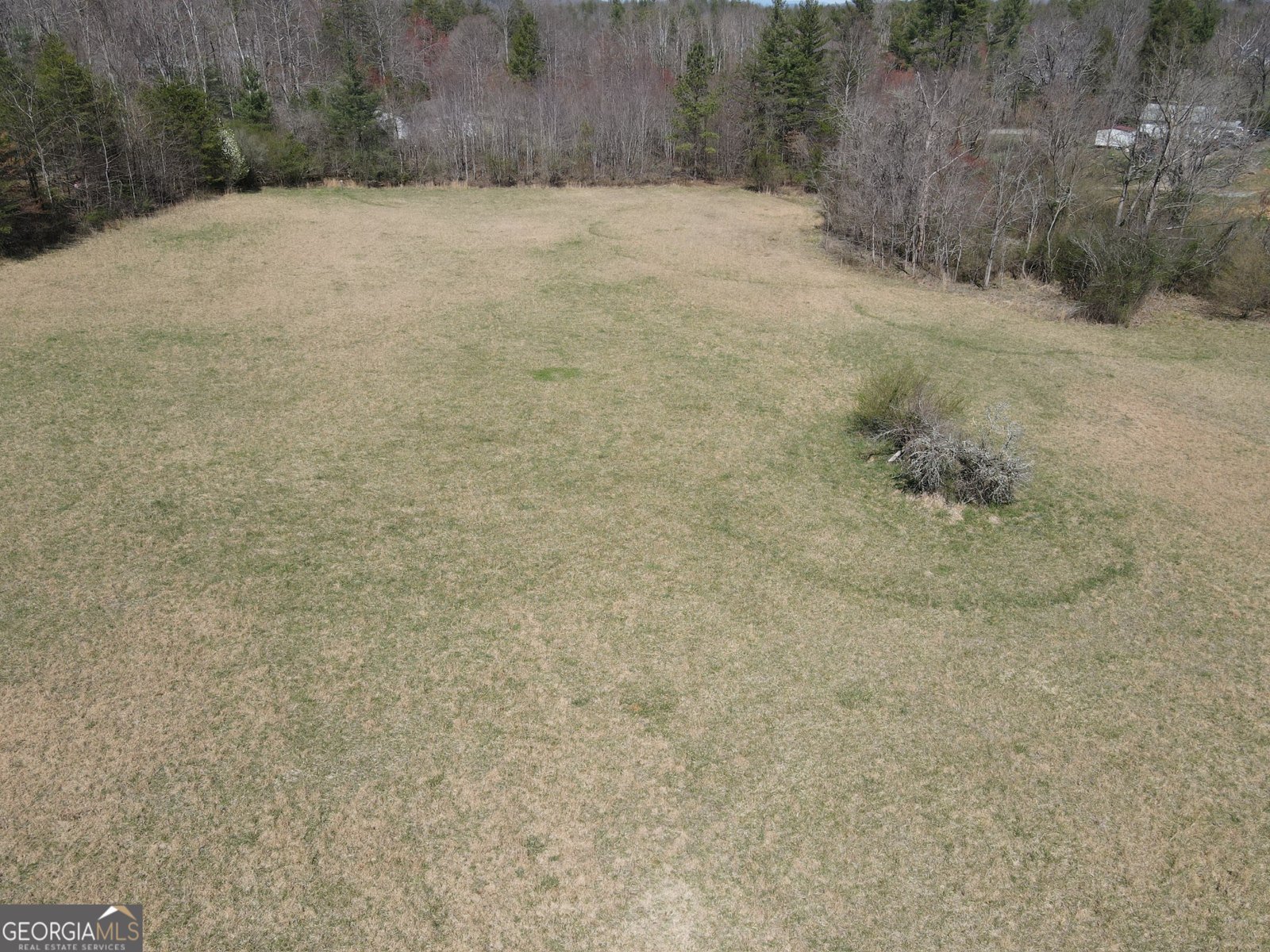 187 Bierce Drive Young Harris - Photo 62