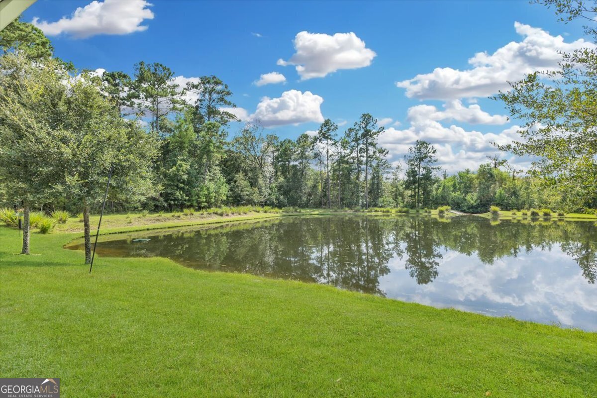 291 McQueen Drive Pooler - Photo 46