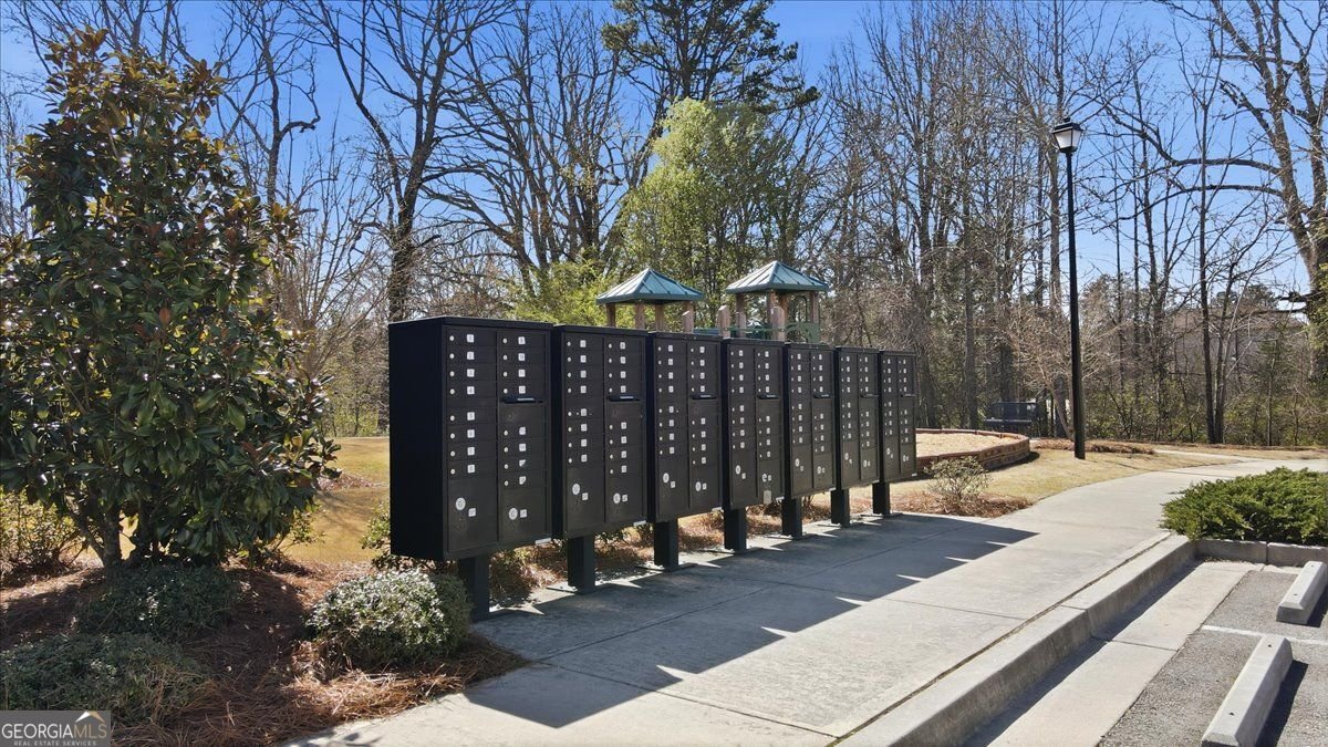 3604 Nathan Farm Lane Buford - Photo 45