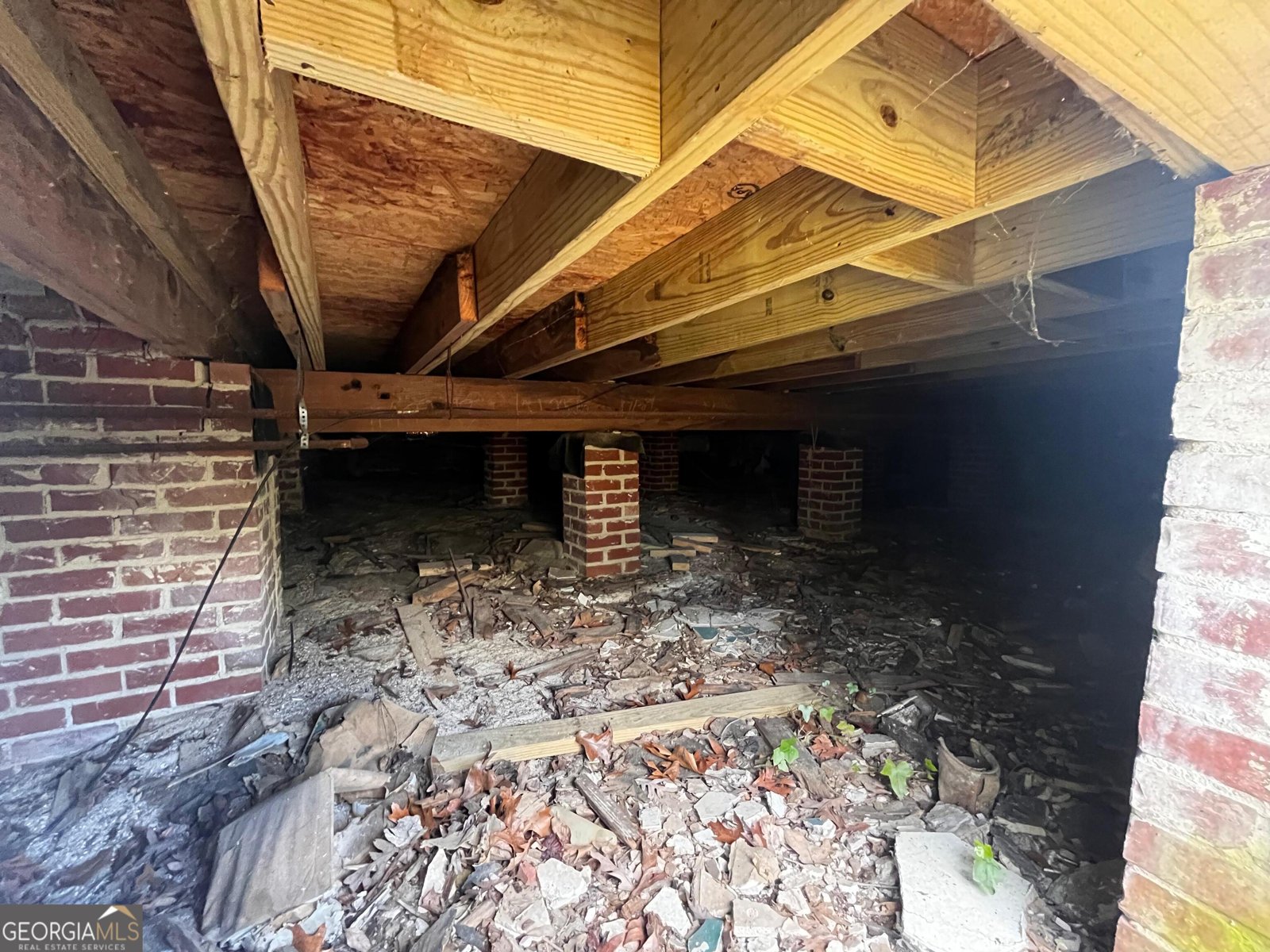 3915 Mosley Drive Columbus - Photo 18