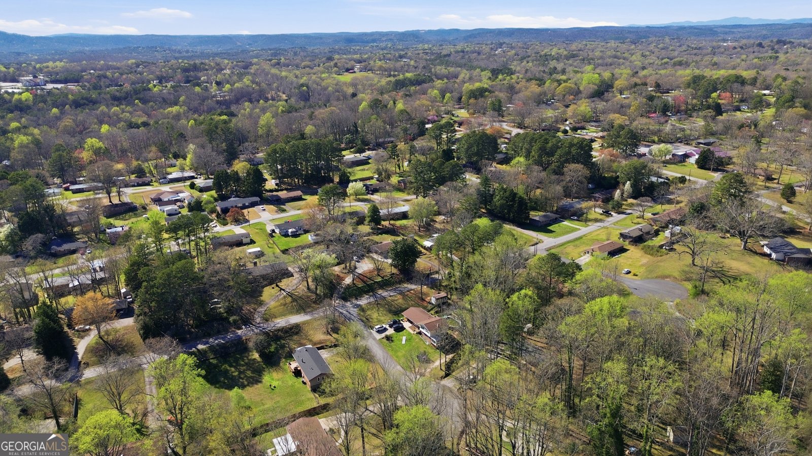 158 Pebble Creek Drive Toccoa - Photo 46