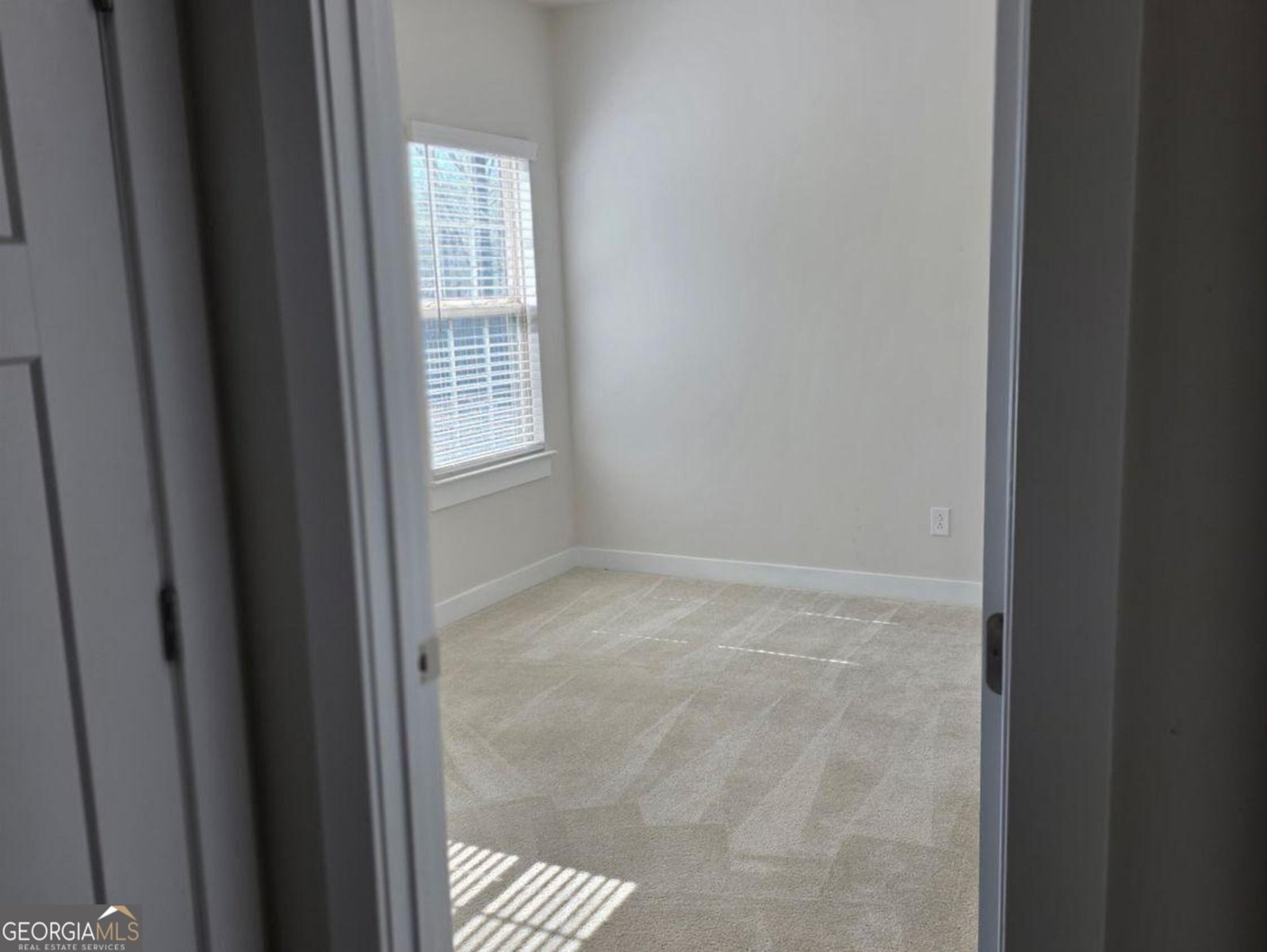 1029 climbing rose Way McDonough - Photo 10