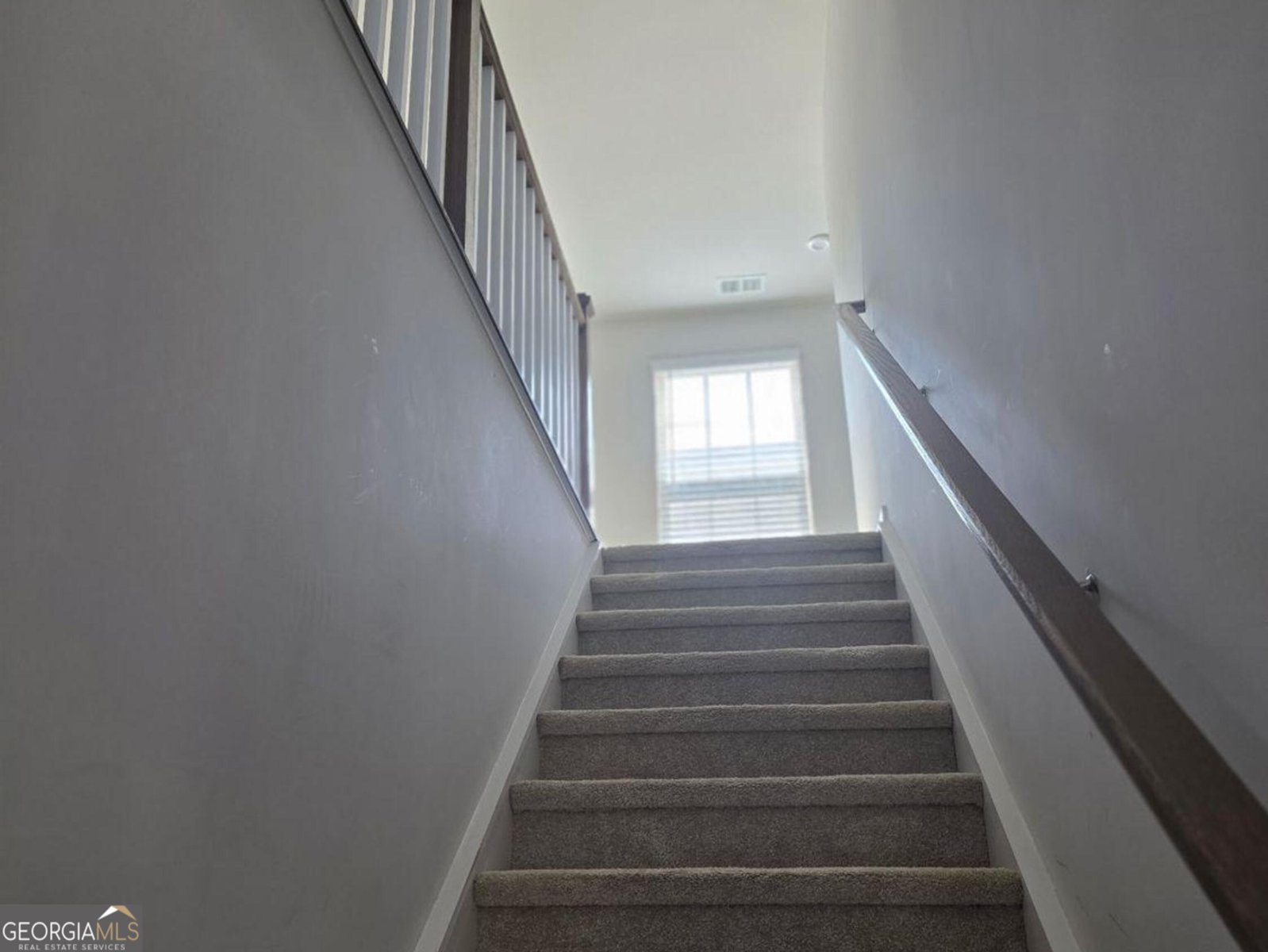 1029 climbing rose Way McDonough - Photo 11