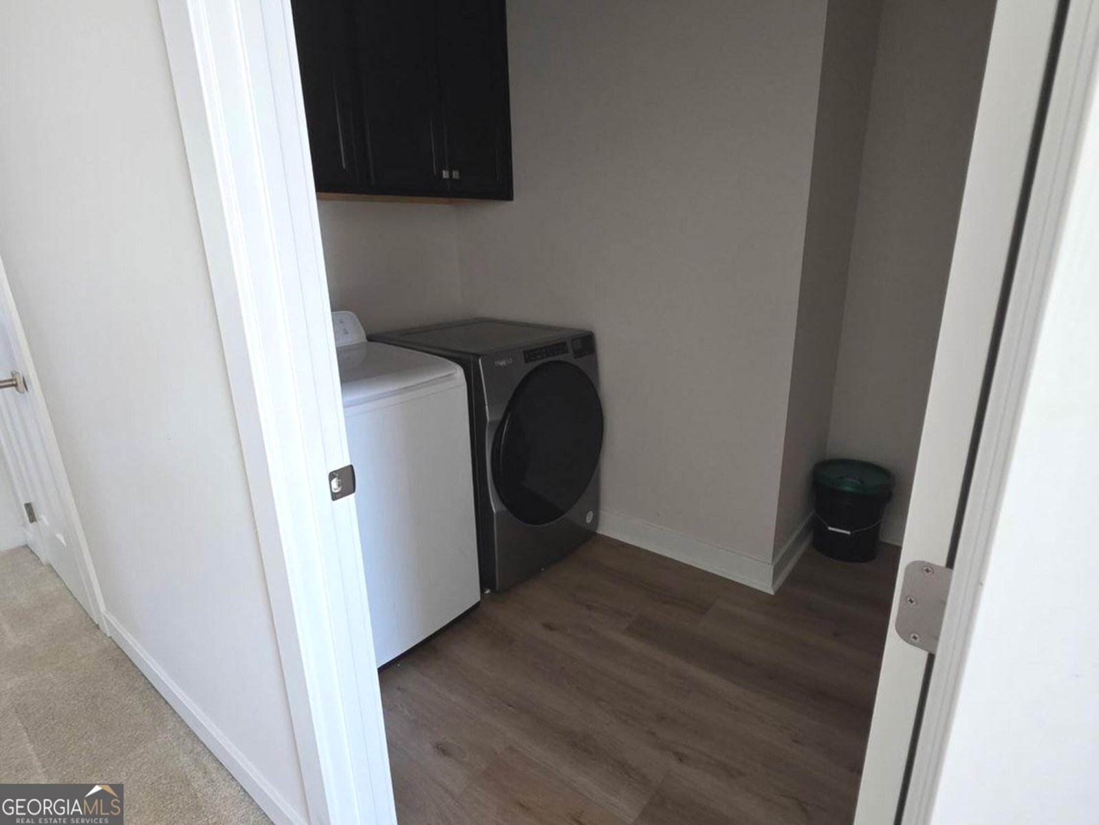 1029 climbing rose Way McDonough - Photo 13