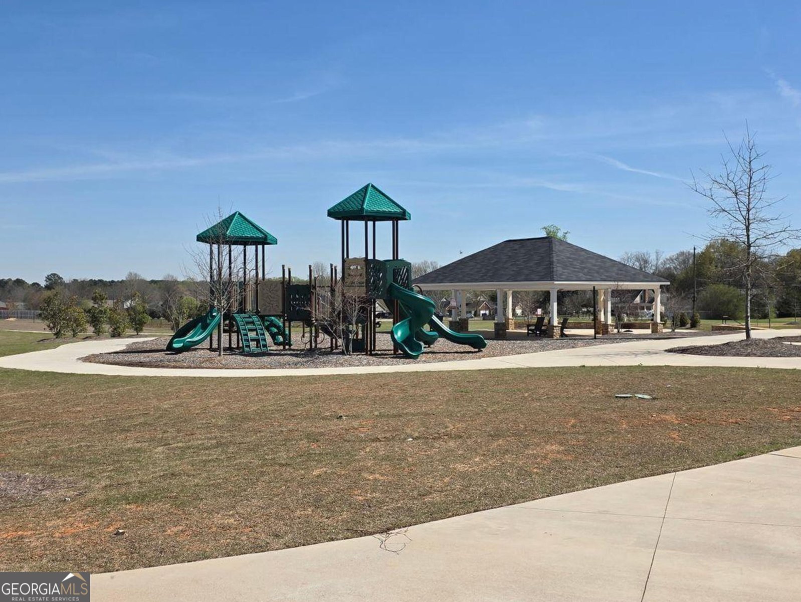 1029 climbing rose Way McDonough - Photo 18