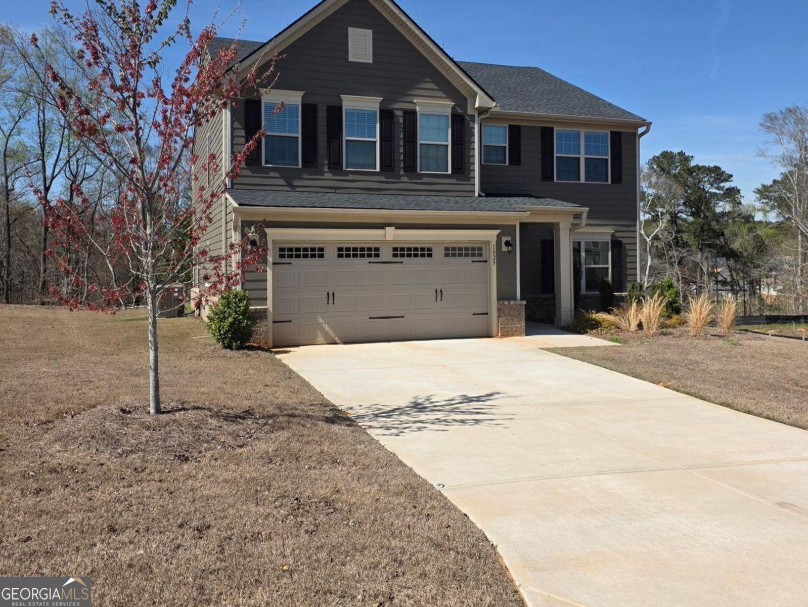 1029 climbing rose Way McDonough - Photo 20