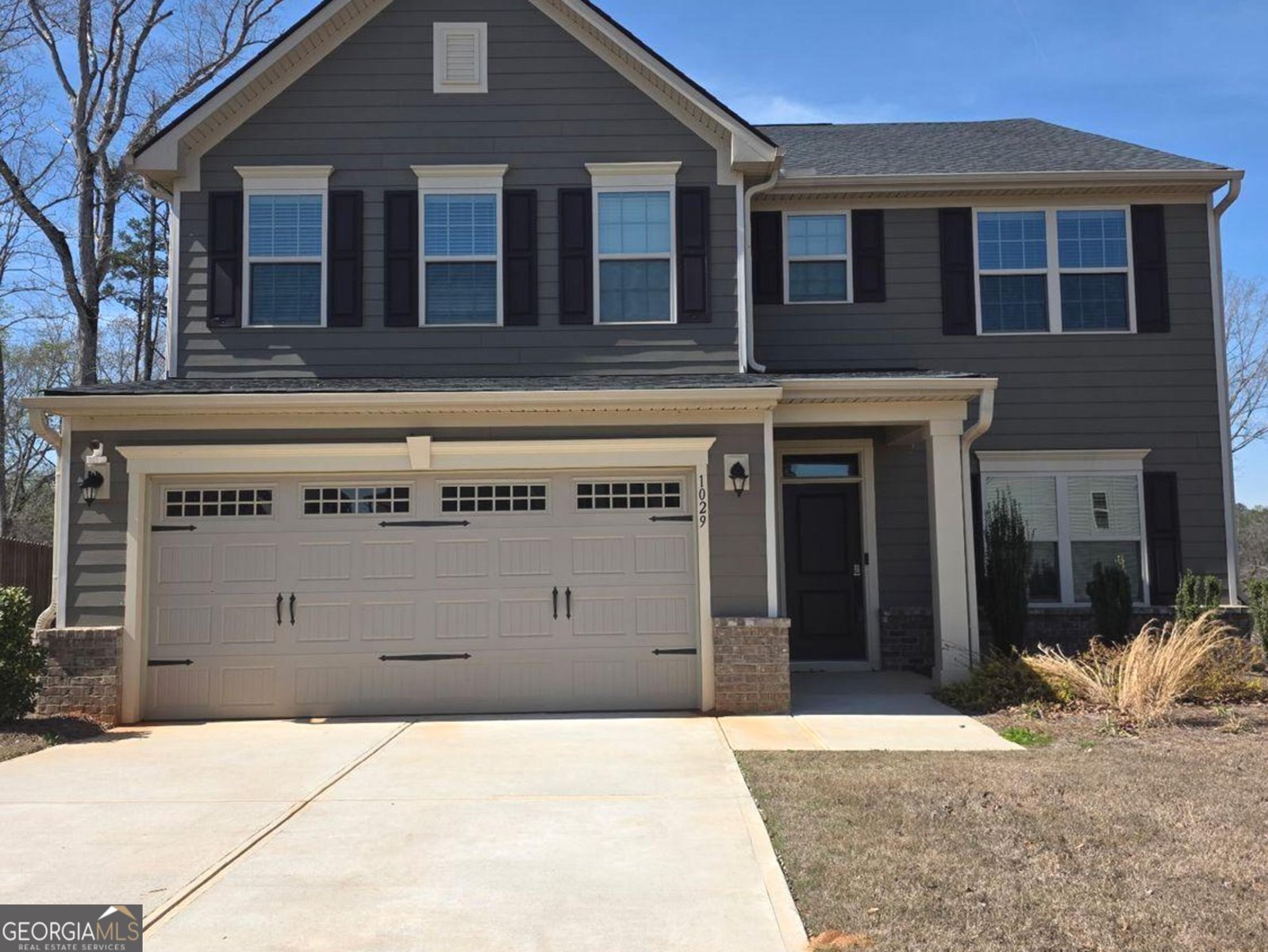 1029 climbing rose Way McDonough - Photo 6