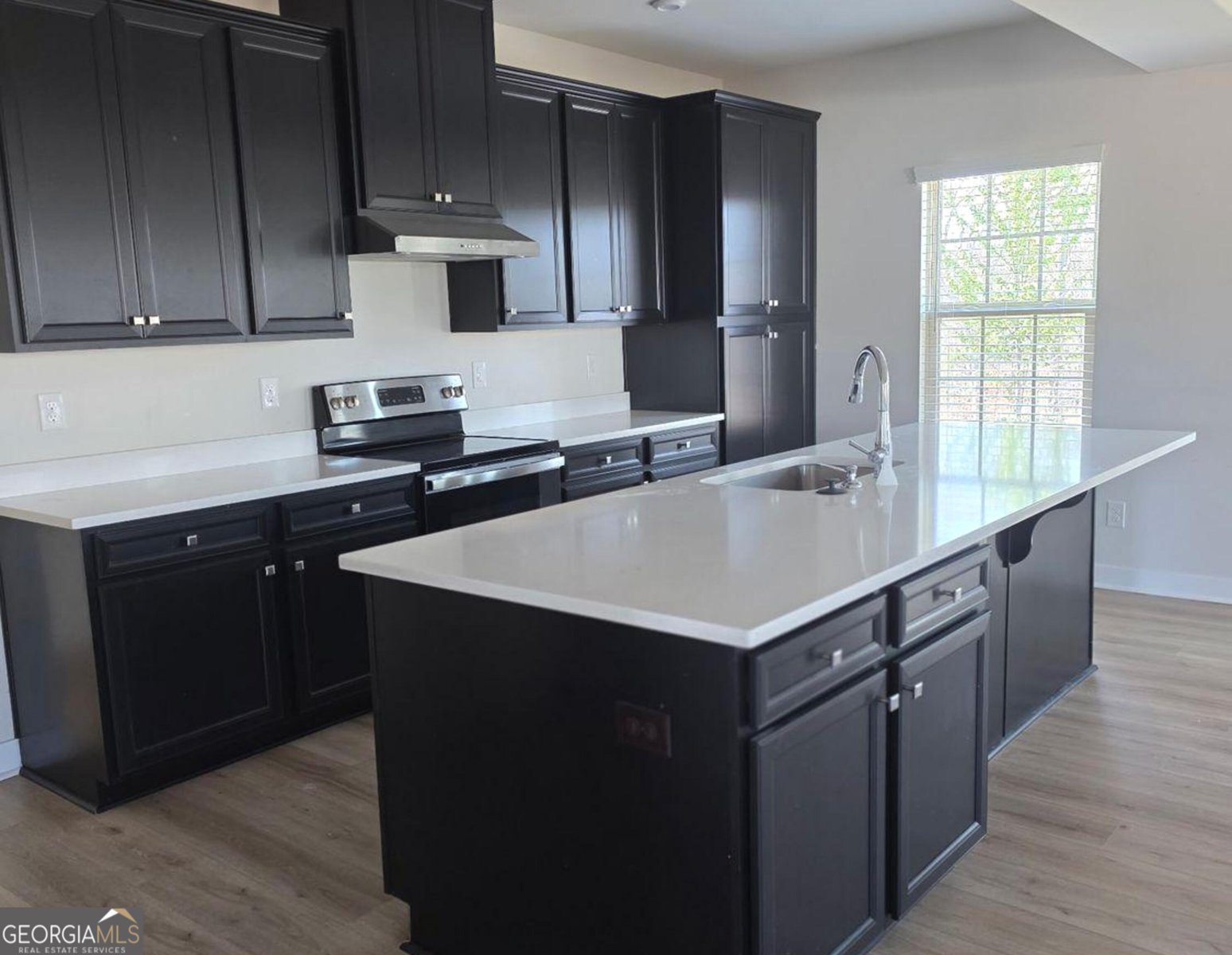 1029 climbing rose Way McDonough - Photo 9