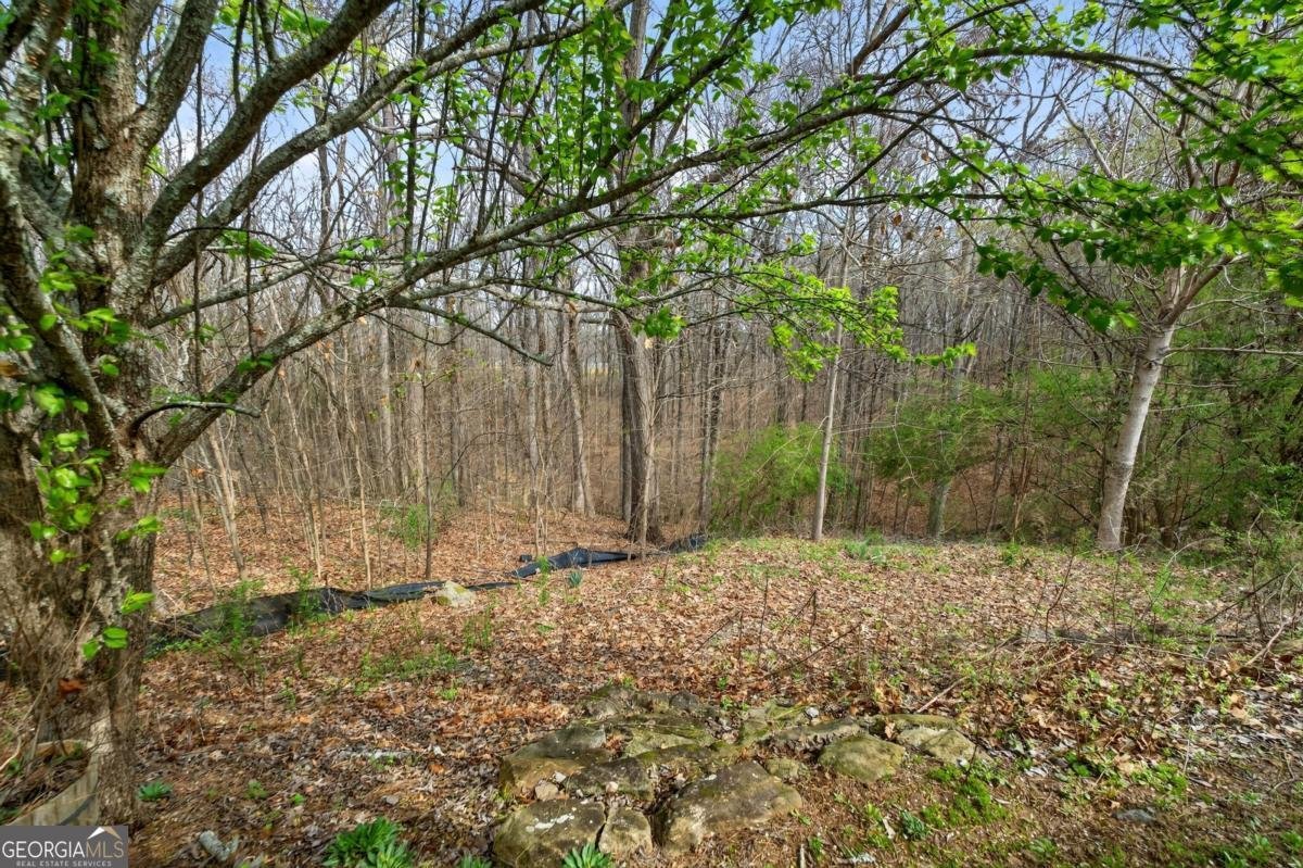 346 Highland Pointe Circle Dawsonville - Photo 40