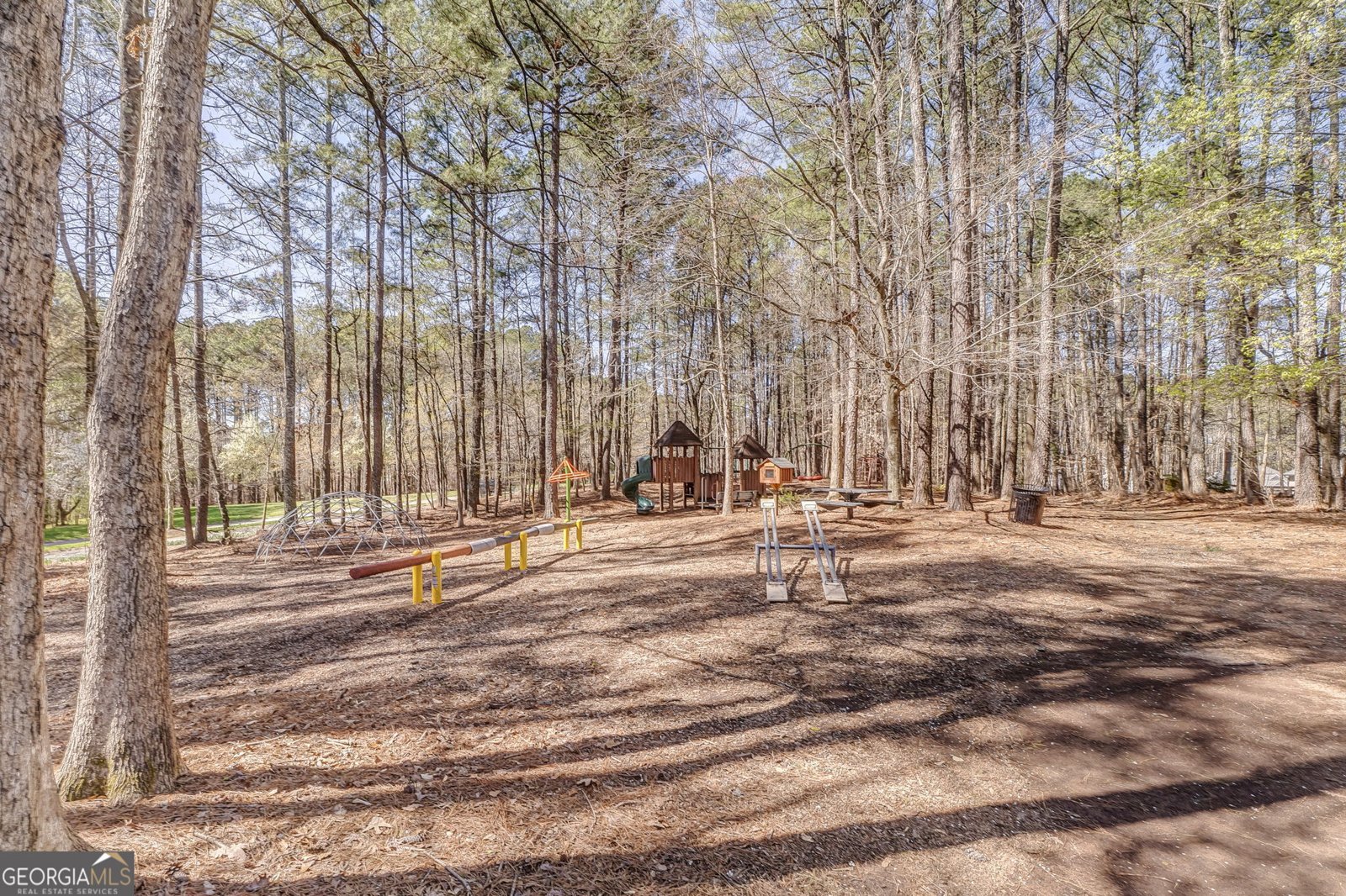 602 Bayberry Point Canton - Photo 86