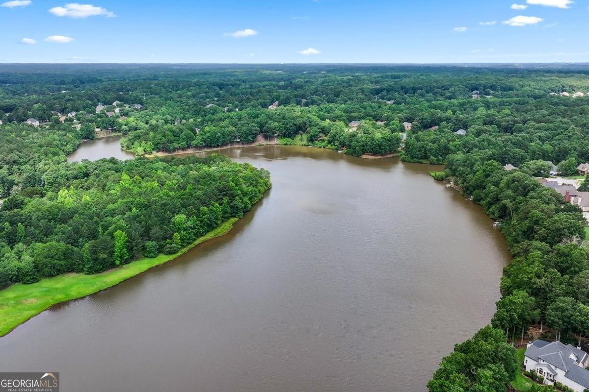 106 April Walk Mcdonough - Photo 52