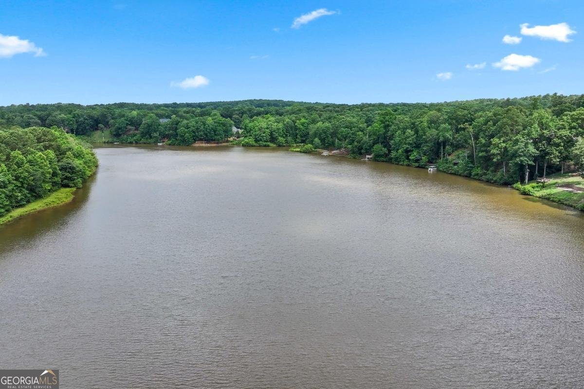 106 April Walk Mcdonough - Photo 53