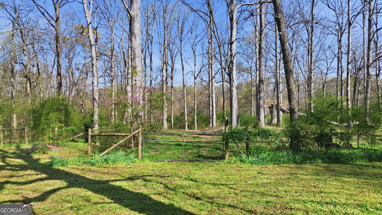 143 Freeman Fowler Road Danielsville - Photo 29