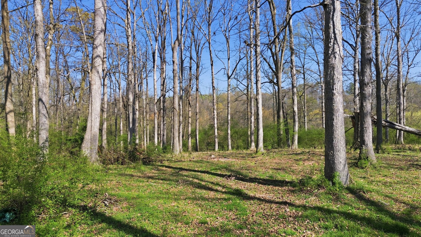 143 Freeman Fowler Road Danielsville - Photo 30