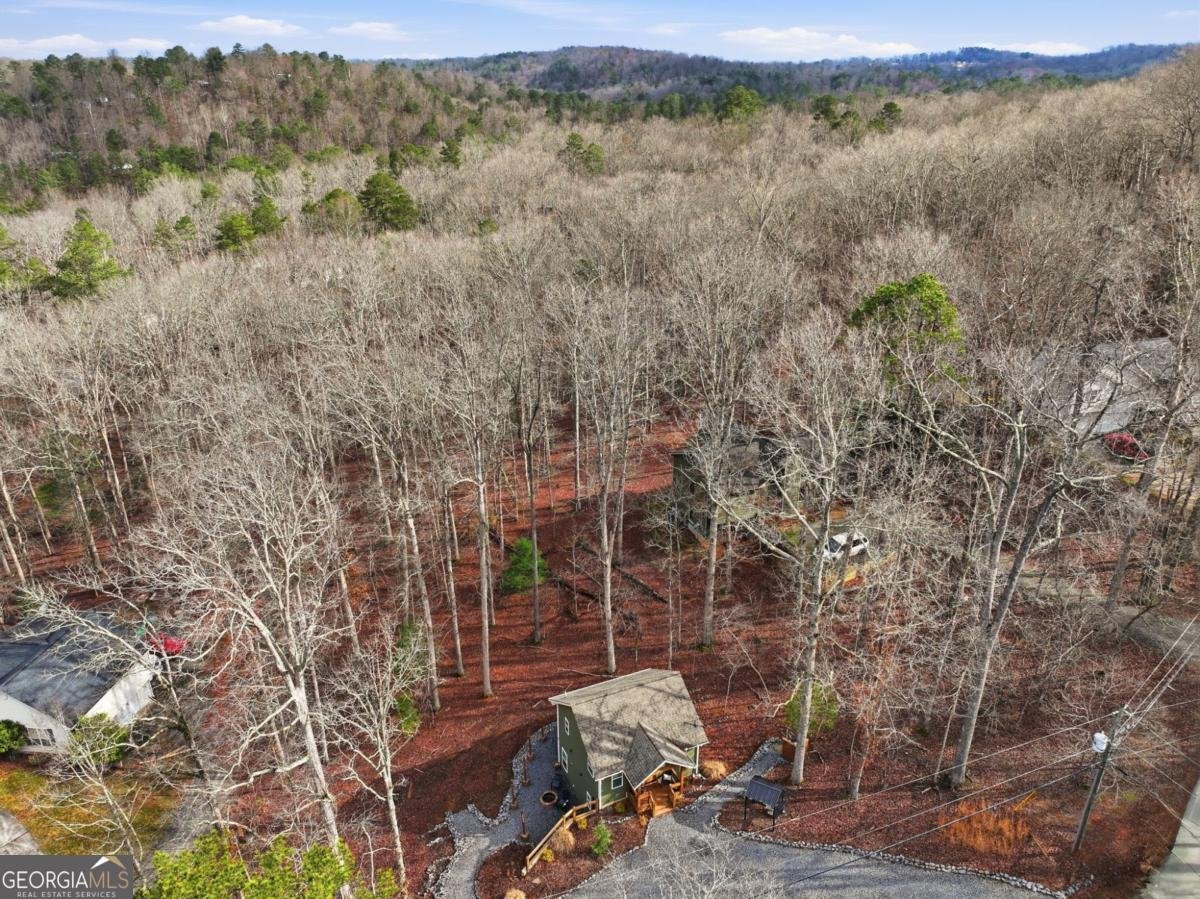 348 Zeblin Road Ellijay - Photo 28