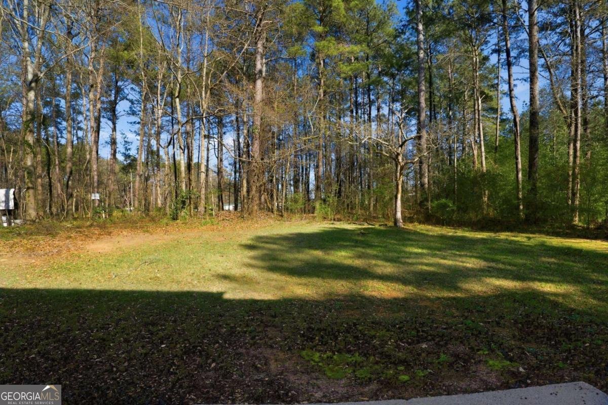 40 Lake Court Stockbridge - Photo 38