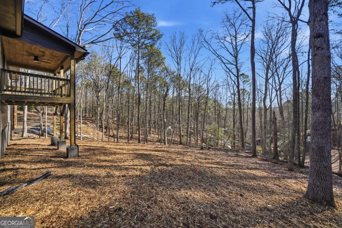 1883 Newport Drive Ellijay - Photo 38