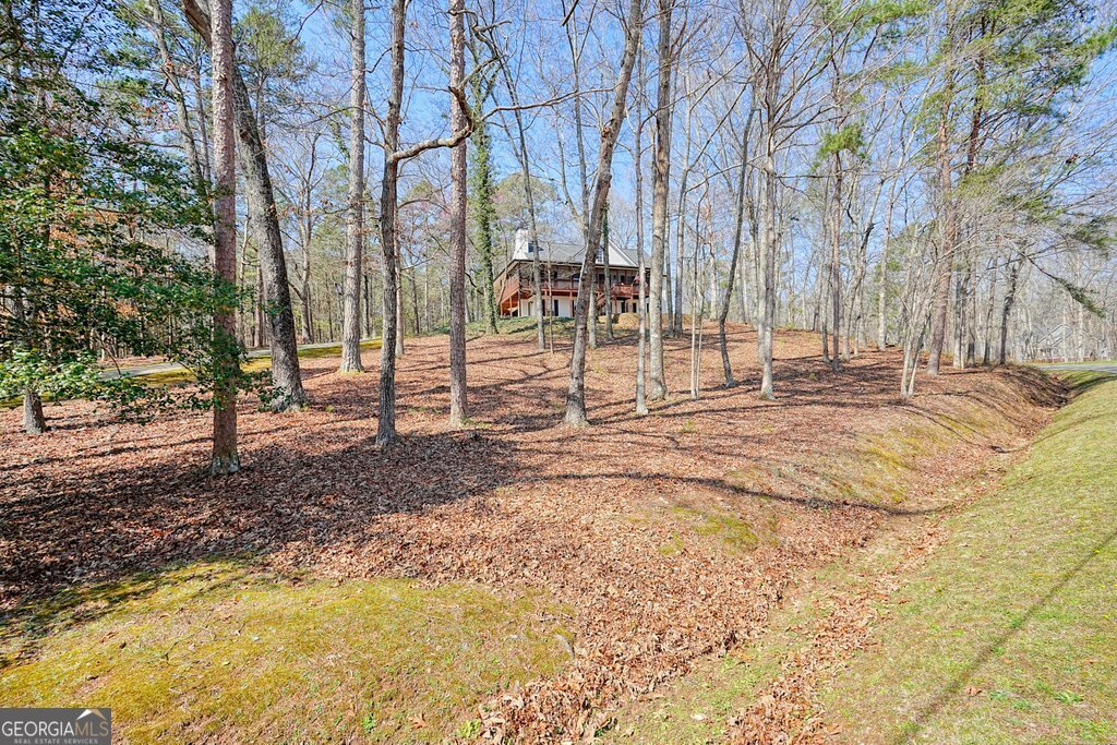 1260 Fields Chapel Road Canton - Photo 36