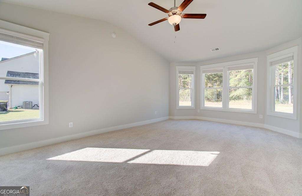 117 Homesite Saddle Drive Senoia - Photo 17