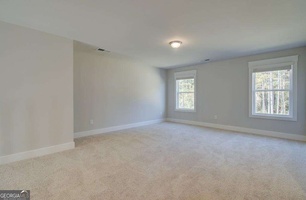 117 Homesite Saddle Drive Senoia - Photo 25