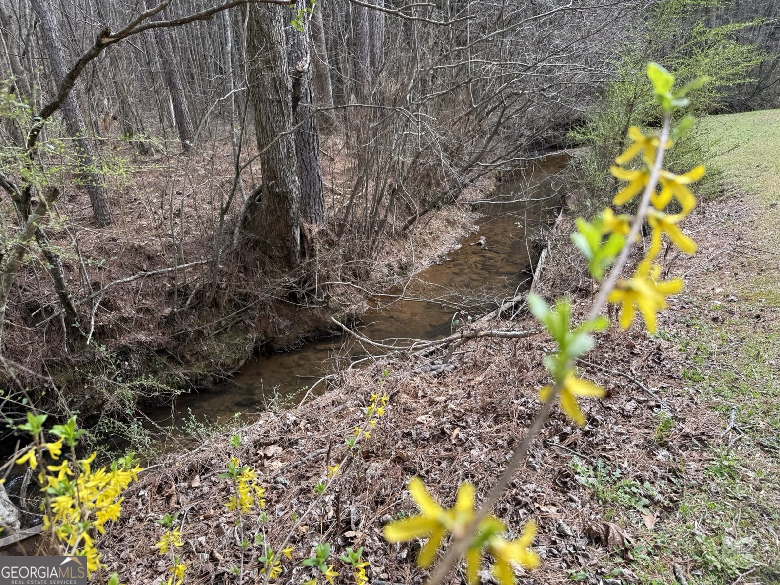 535 Old Stagecoach Road Carrollton - Photo 50