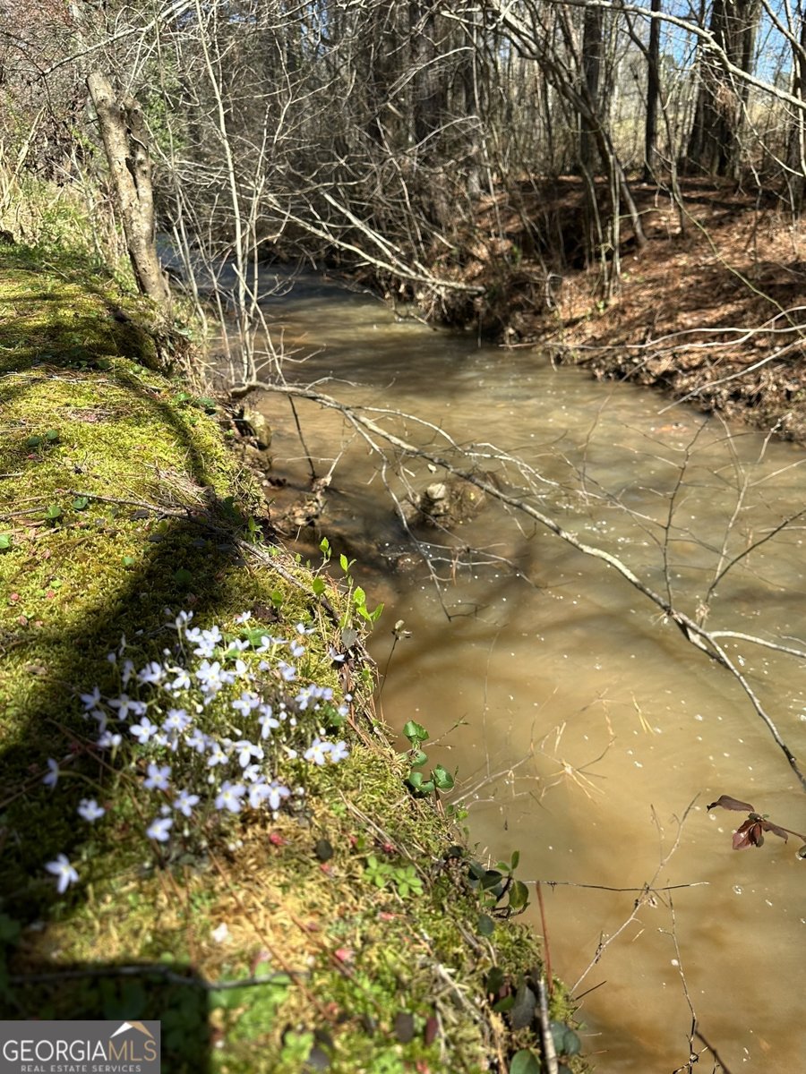 535 Old Stagecoach Road Carrollton - Photo 53