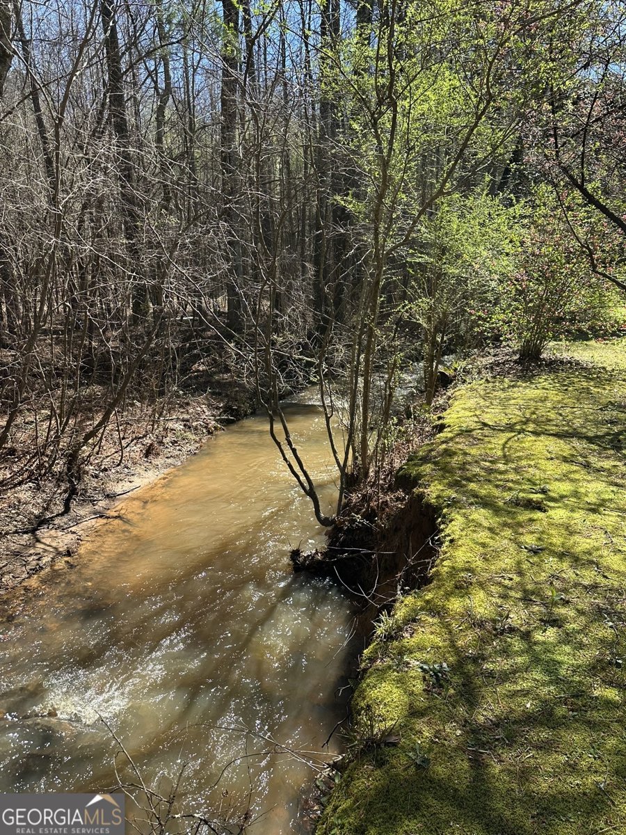 535 Old Stagecoach Road Carrollton - Photo 54