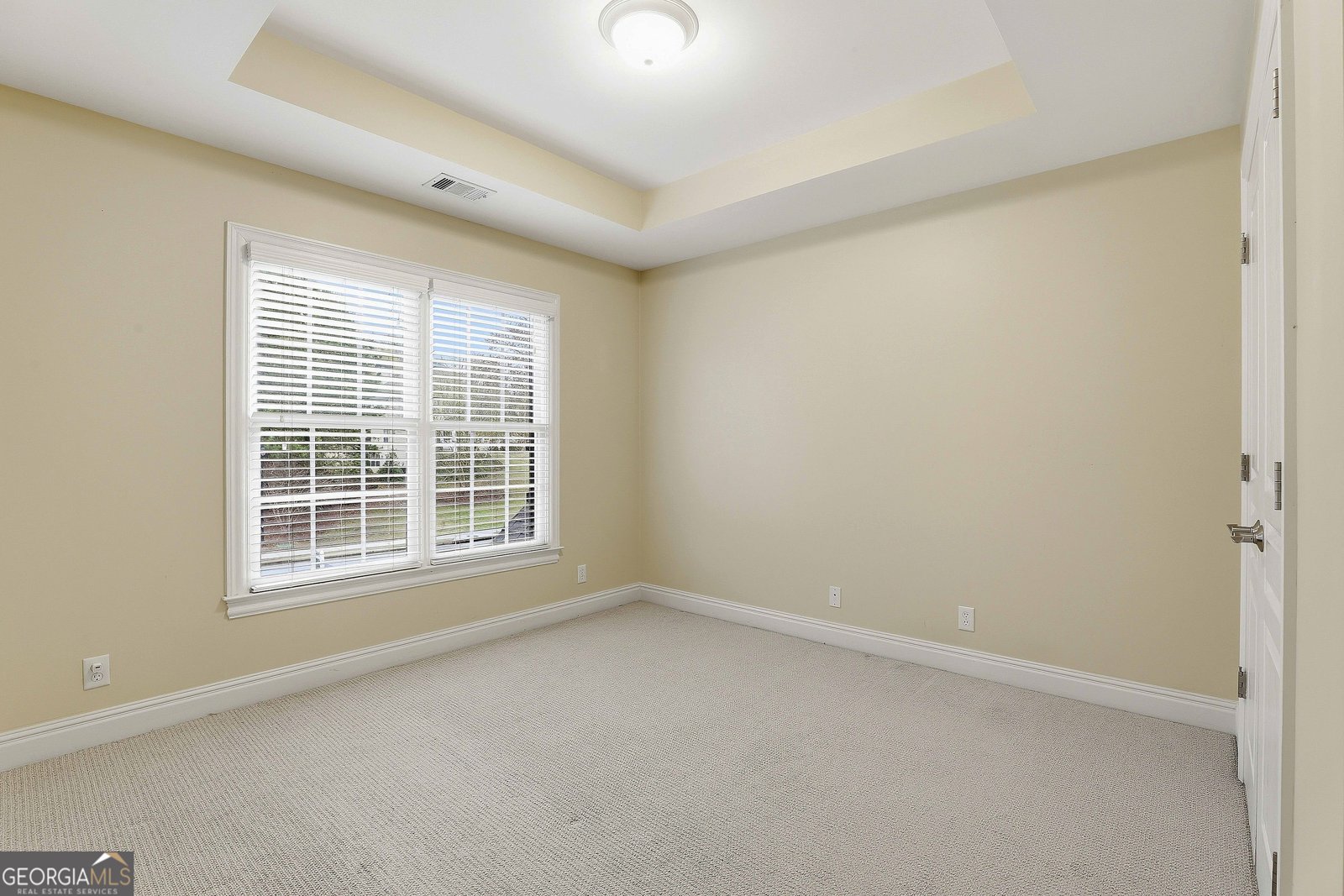 108 Tullamore Trail Tyrone - Photo 43