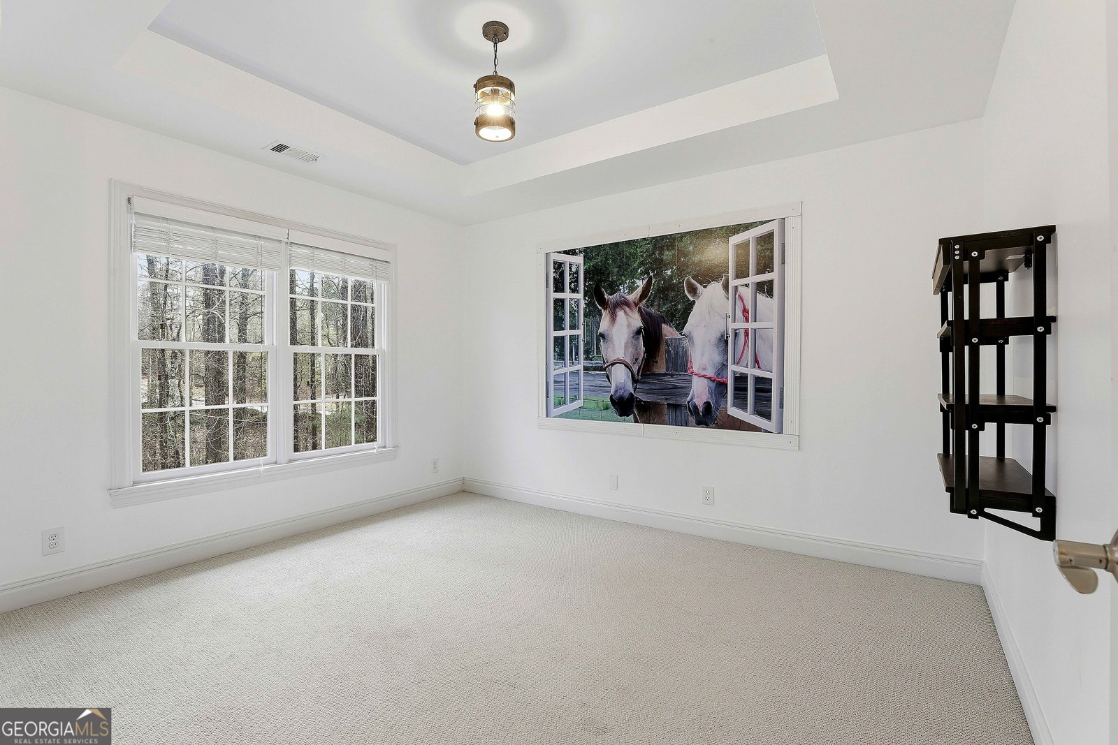 108 Tullamore Trail Tyrone - Photo 46