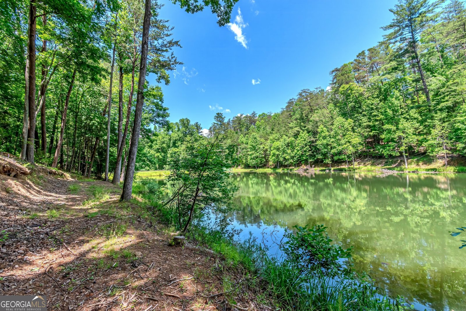 341 Valley View Road Ellijay - Photo 75