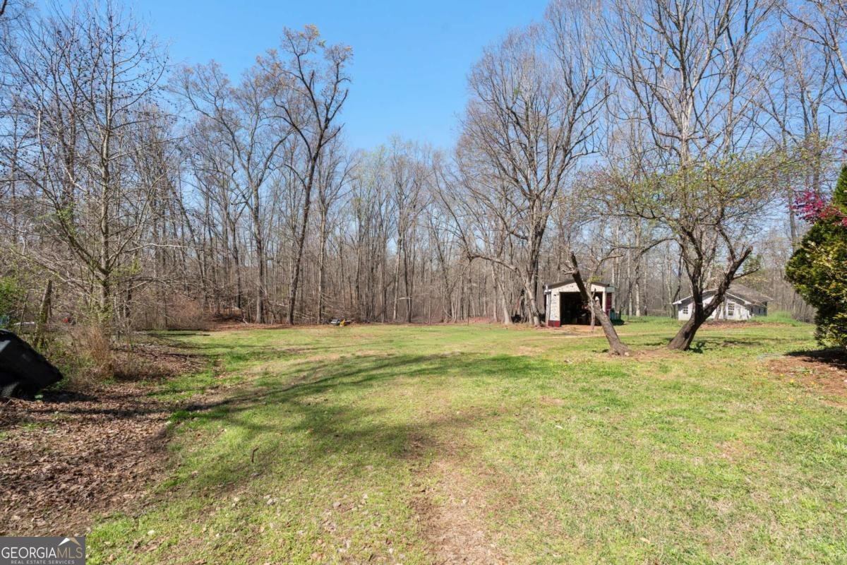 235 Cecil Jackson Road Griffin - Photo 25