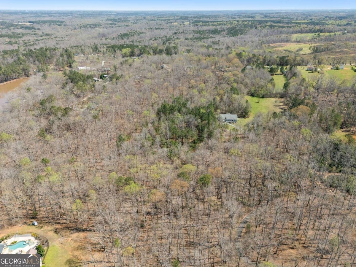 235 Cecil Jackson Road Griffin - Photo 29