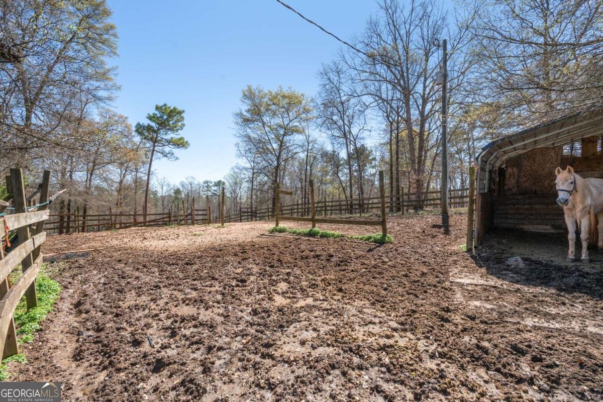 235 Cecil Jackson Road Griffin - Photo 34