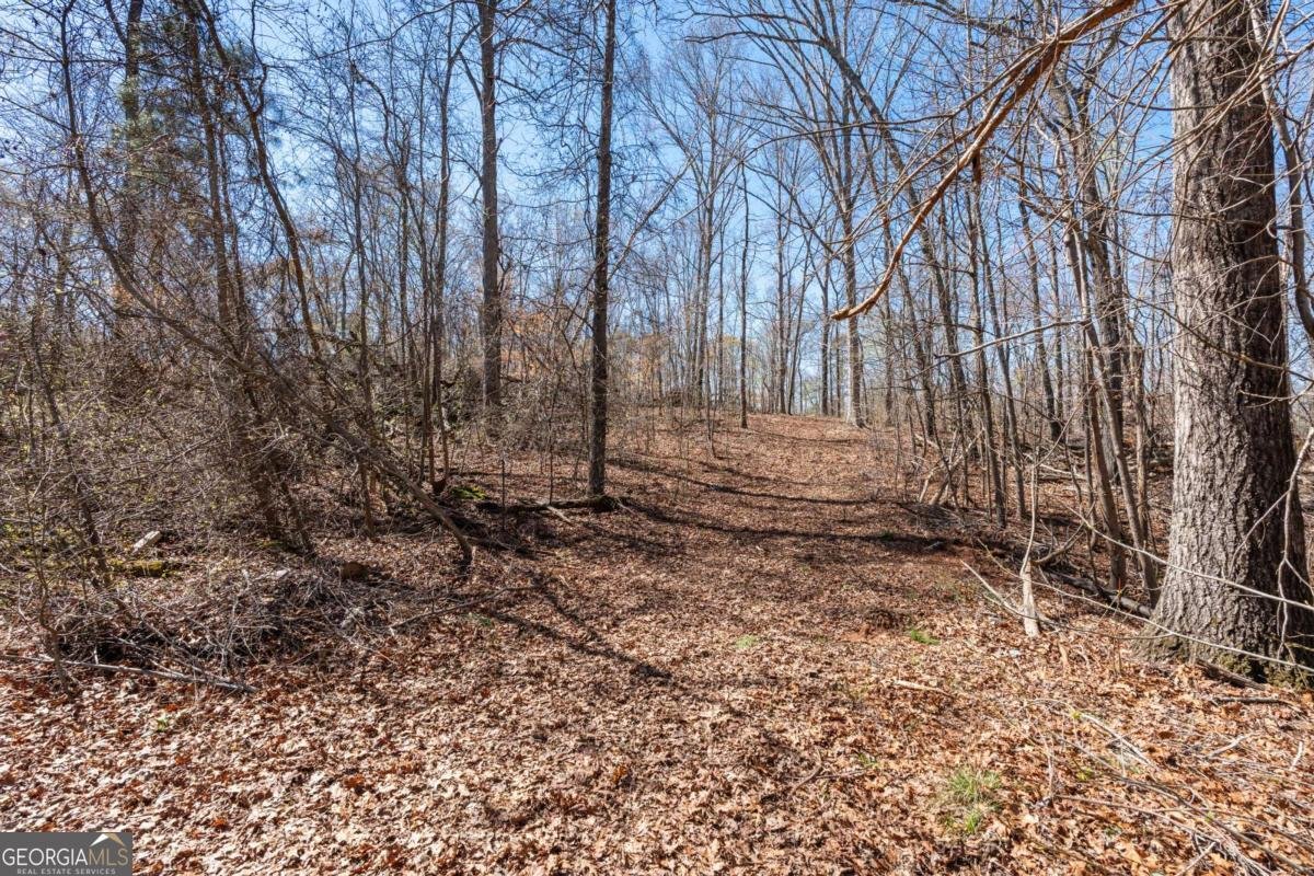 235 Cecil Jackson Road Griffin - Photo 35