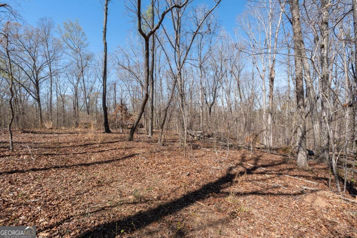 235 Cecil Jackson Road Griffin - Photo 36