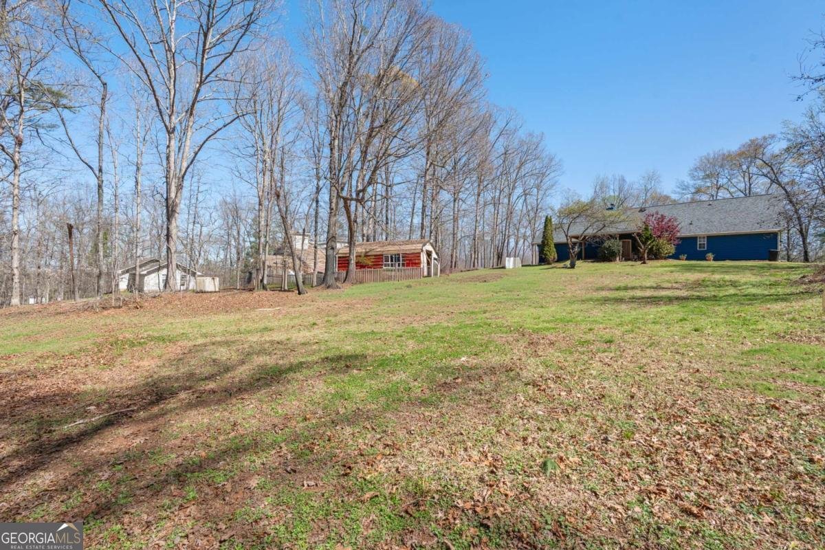 235 Cecil Jackson Road Griffin - Photo 37