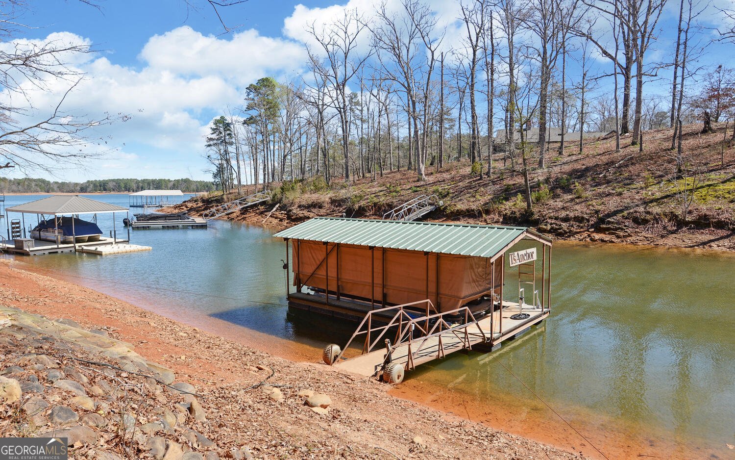 60 Browns Lane Road Hartwell - Photo 58