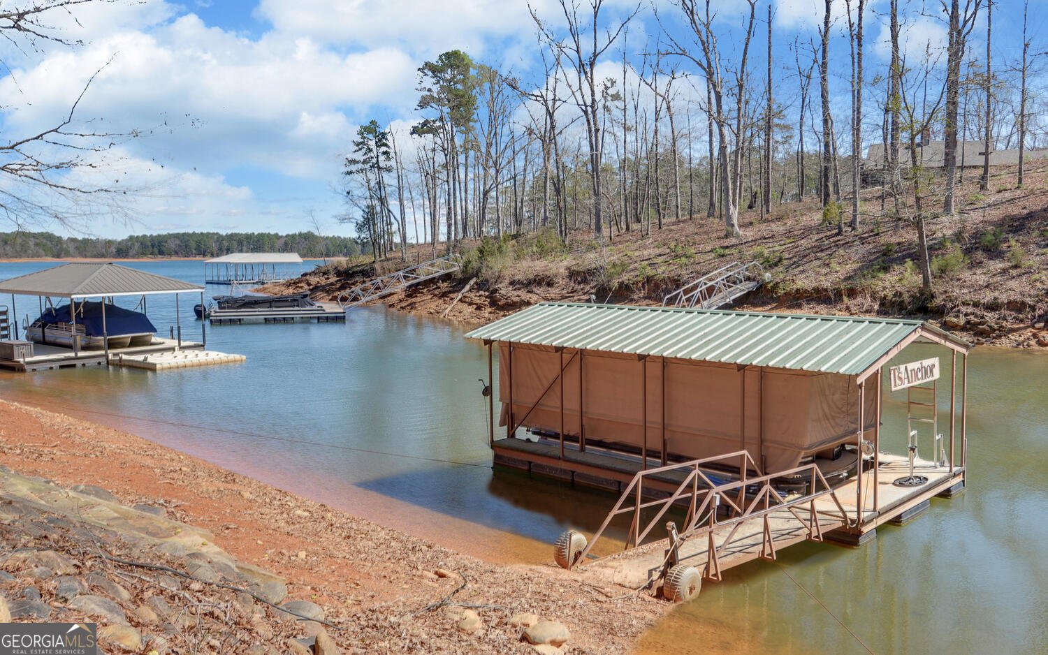 60 Browns Lane Road Hartwell - Photo 59