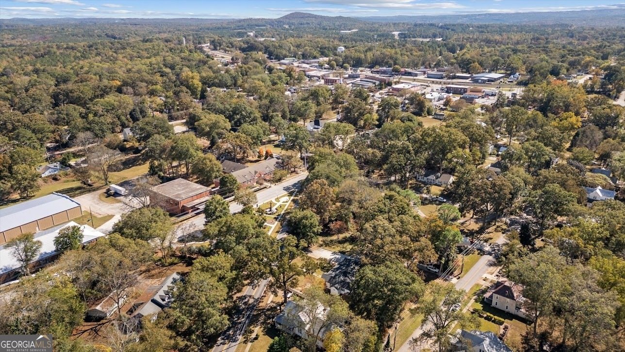 262 Bowdon Street Tallapoosa - Photo 46