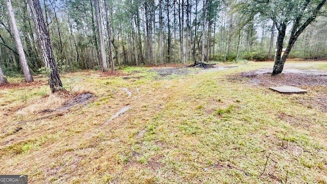 5926 Mill Branch Club Road Brooklet - Photo 23