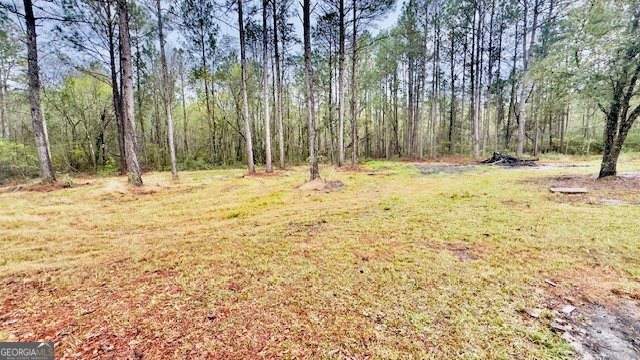 5926 Mill Branch Club Road Brooklet - Photo 24