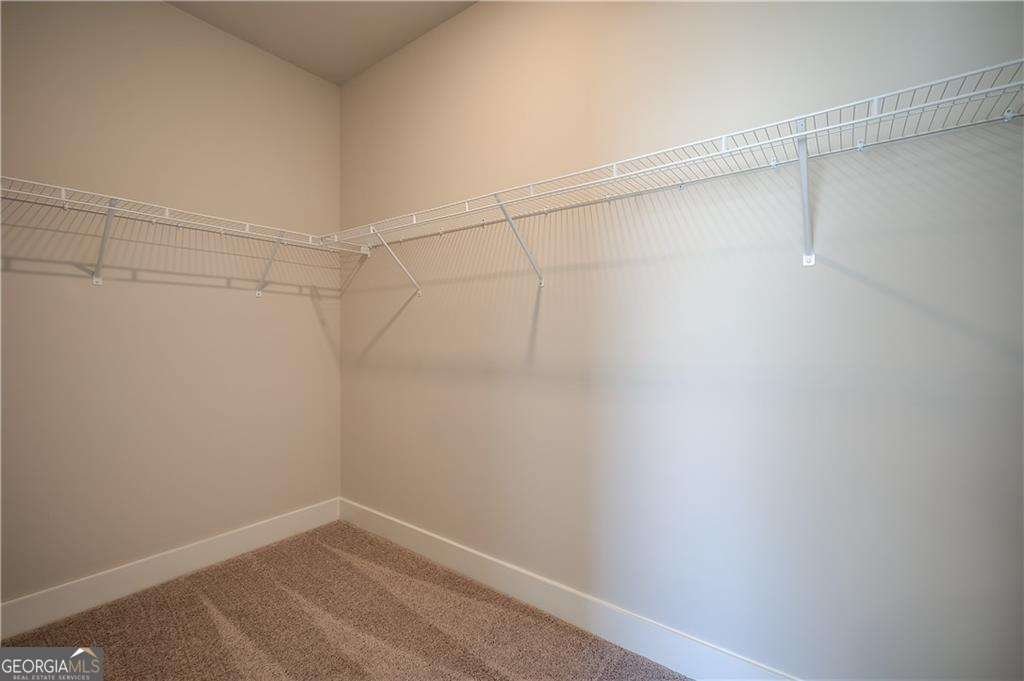 113 Homesite Saddle Drive Senoia - Photo 25