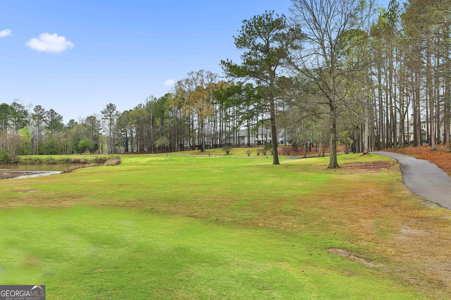 204 Horizon Hill Newnan - Photo 43