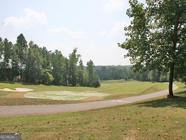 204 Horizon Hill Newnan - Photo 57