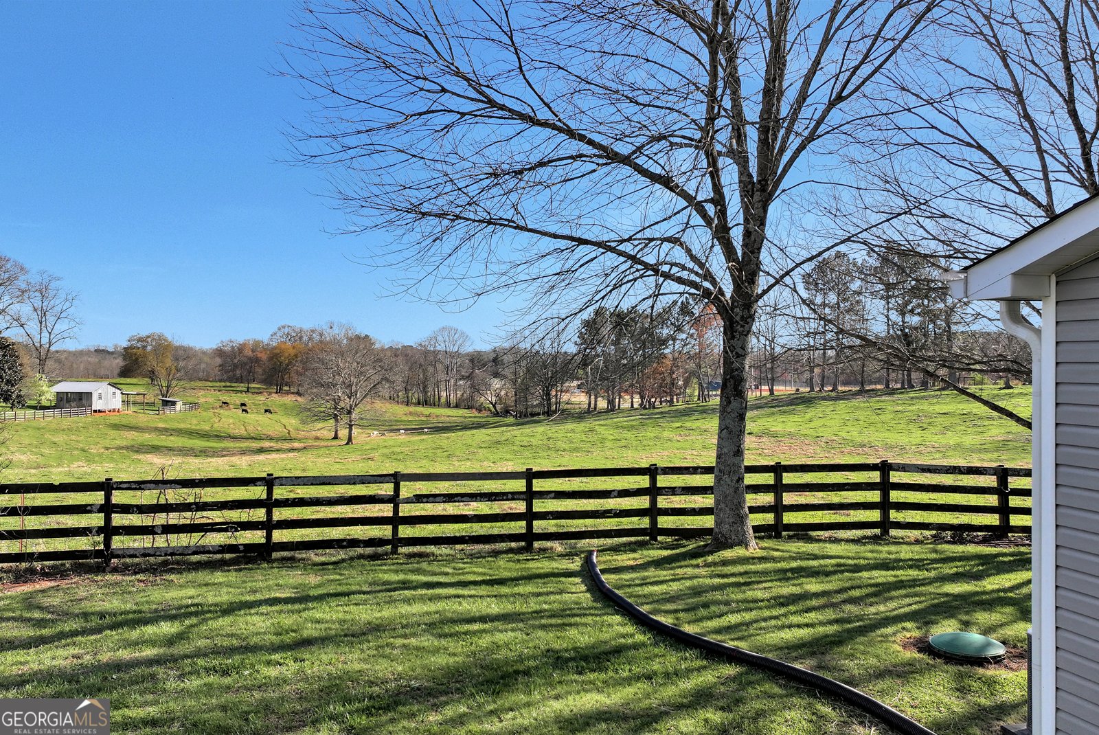 170 Paul Franklin Road Clarkesville - Photo 6