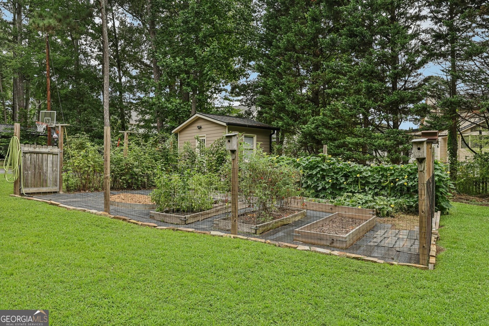 159 Level Creek Road Buford - Photo 53