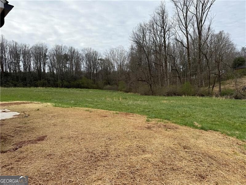 515 Camp Wahsega Road Dahlonega - Photo 13