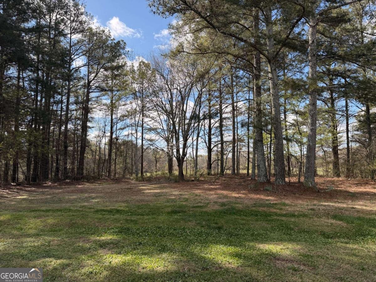 54 Alana Court Dallas - Photo 7