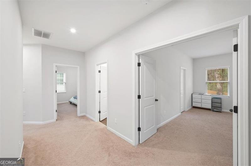 253 Birchwood Row Holly Springs - Photo 19