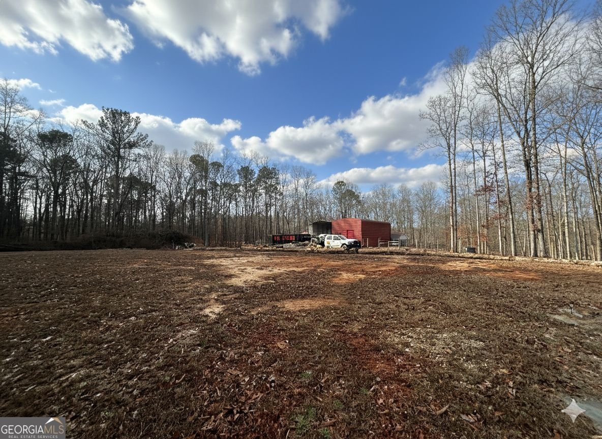 118 Raven Road Villa Rica - Photo 45